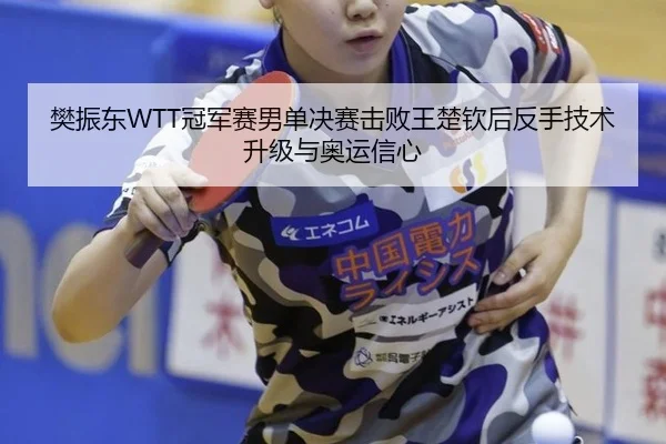 樊振东WTT冠军赛男单决赛击败王楚钦后反手技术升级与奥运信心